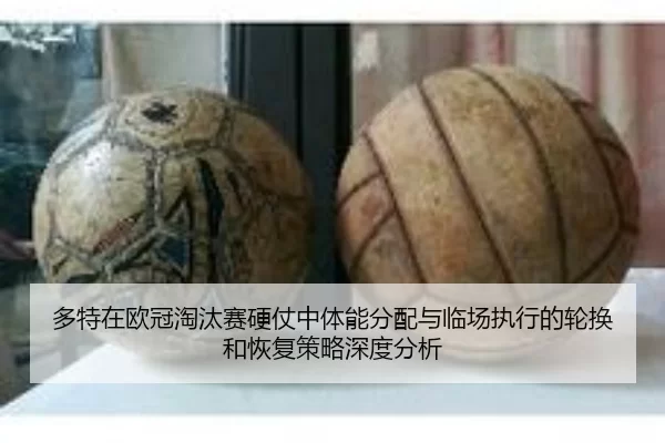 duo-te-zai-ou-guan-tao-tai-sai-ying-zhang-zhong-ti-neng-fen-pei-yu-lin-chang-zhi-xing-de-lun-huan-he-hui-fu-ce-lve-shen-2-252.jpg